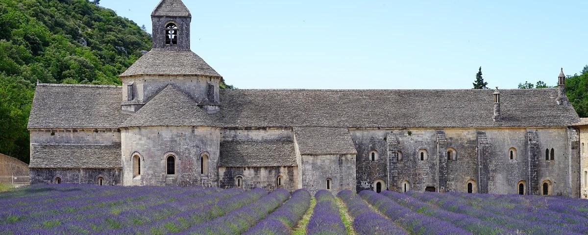 Abbaye de Senanque 