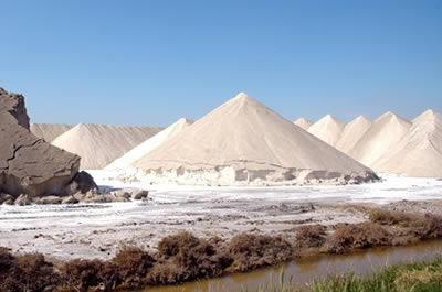 Check spelling or type a new query. Salinen : Salz Die Salinen Der Camargue