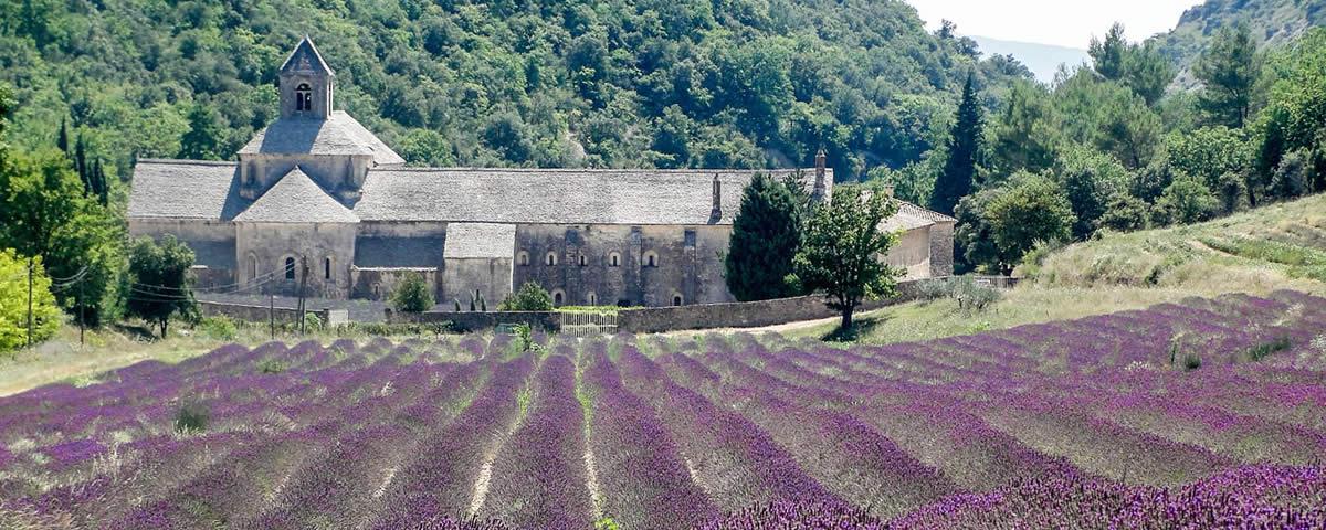 Kloster Abbey de Senanque