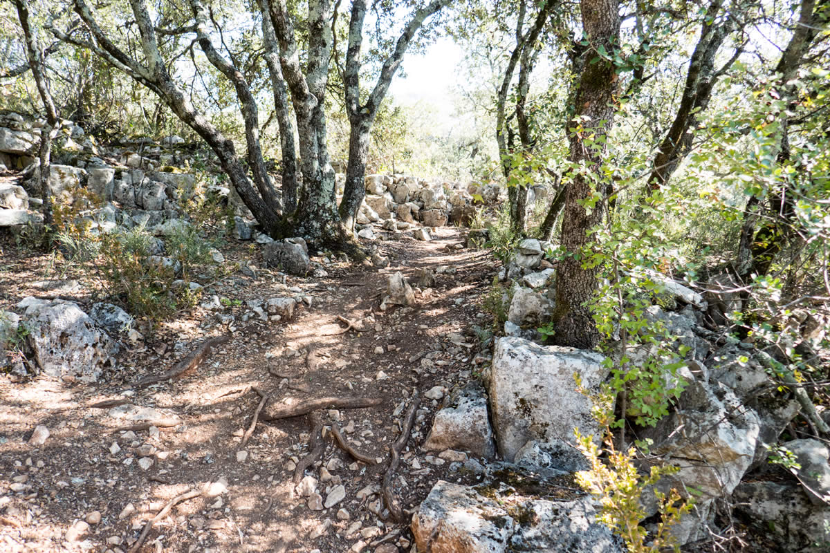 Wanderweg Gorge de l'Oppedette